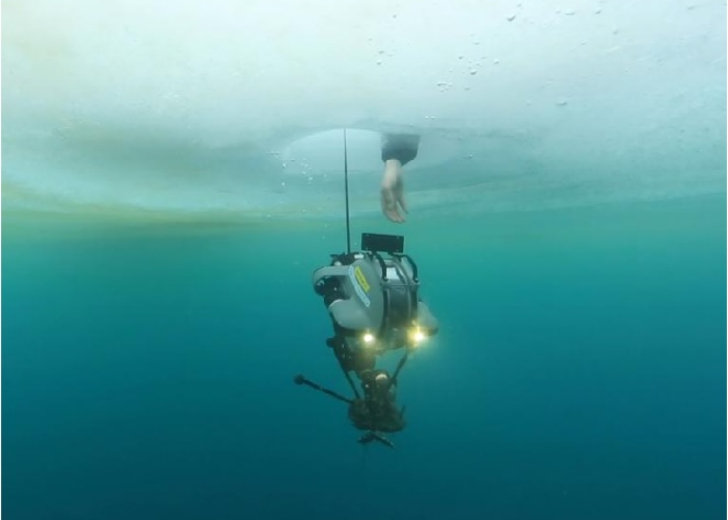 Divers Find a Camera Lying on the Ocean Floor for Two Years. The Photos